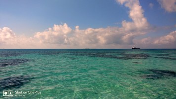 Blue skies, turqoise waters, Loggerhead Key in the horizon