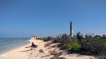 Exploring Loggerhead Key