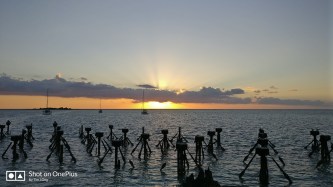 Sunrise from the south coaling dock ruins
