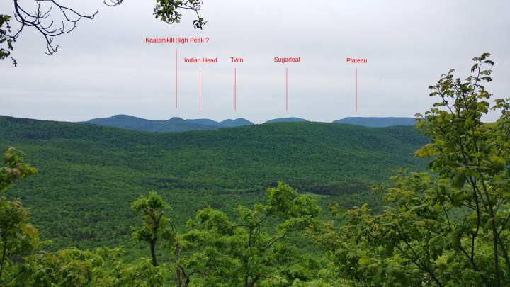 view_of_devils_path_from_long_path_dutchers_notch_lookout