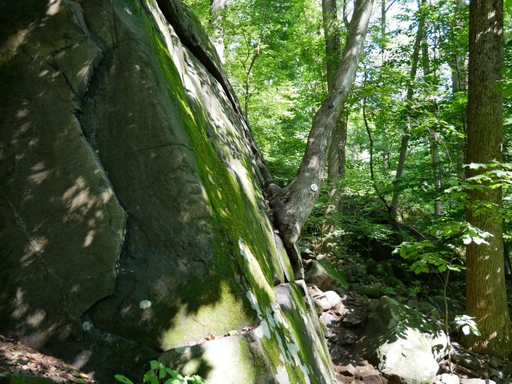 P1000473