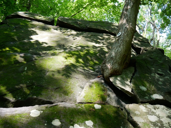 P1000475