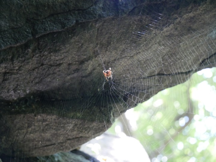 P1000481