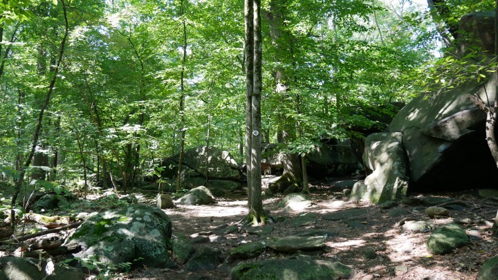 P1000483