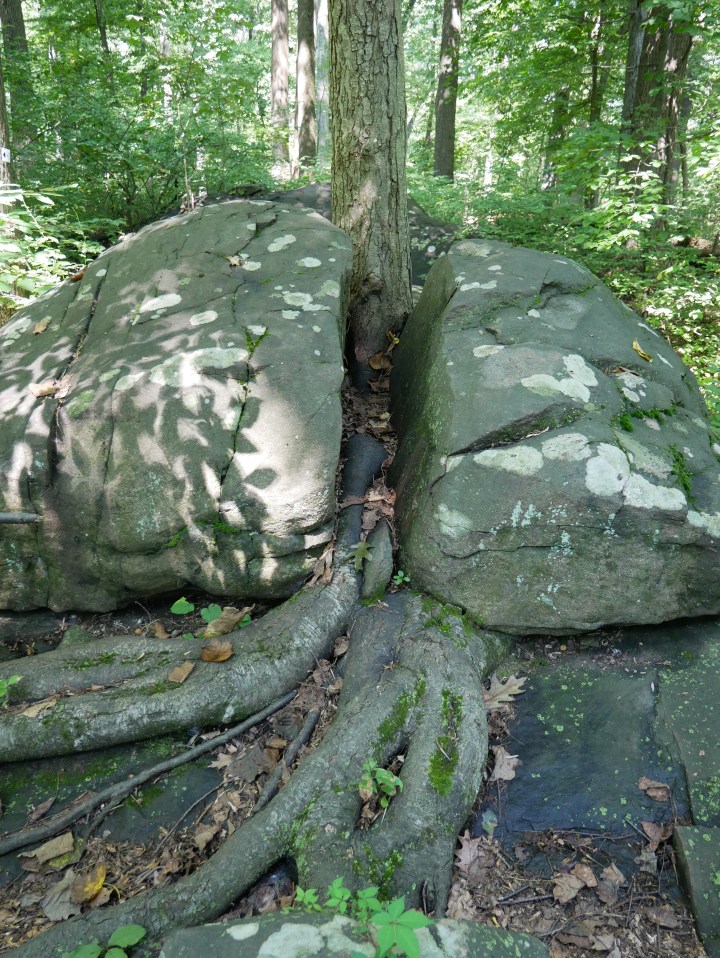 P1000489