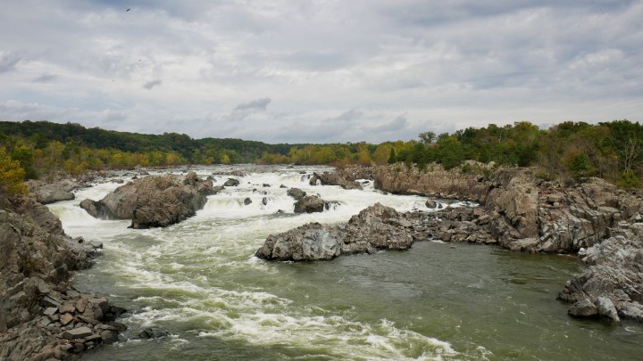 P1020458_p