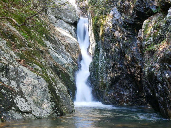 P1020538