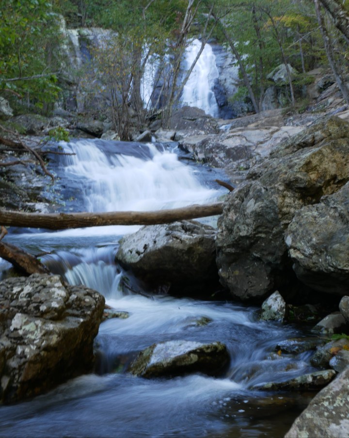 P1020559