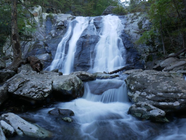 P1020564