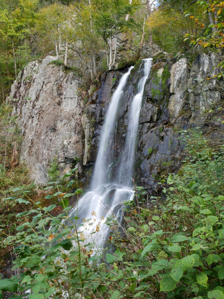 P1020679p