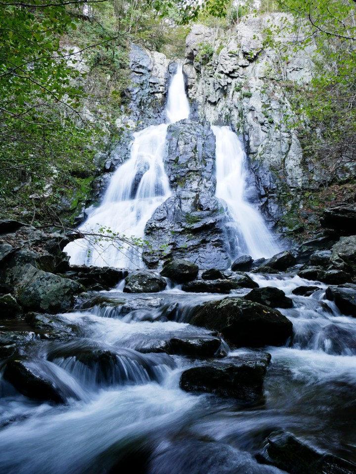 P1020692p