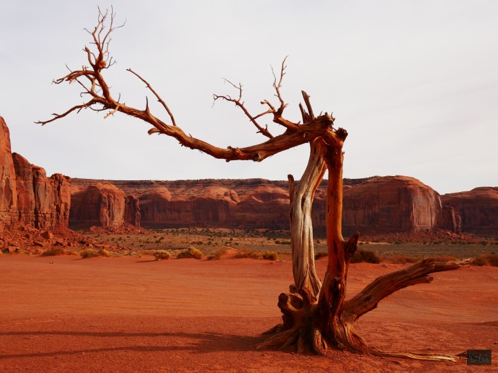 P1040213w1