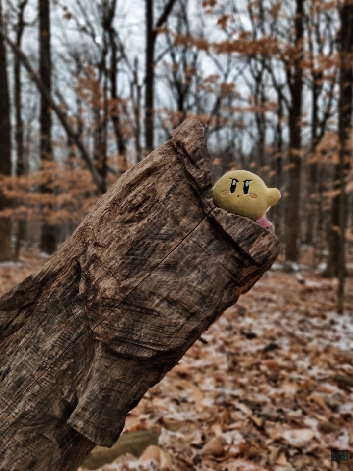 img_20190119_094252_bokeh_w1
